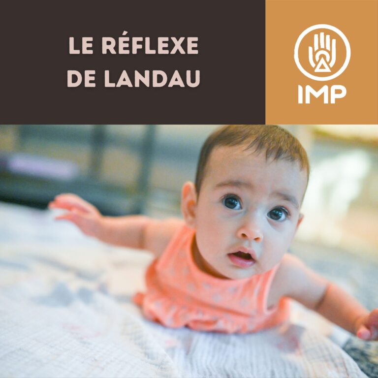 Réflexe de Landau - Article