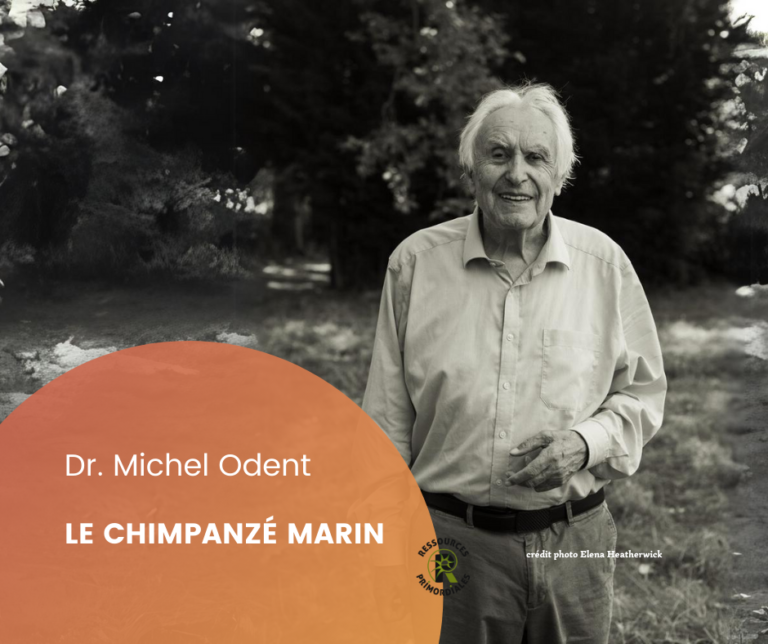 Chimpanzé marin