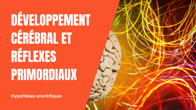 Développement cérébral et hypothèses scientifiques