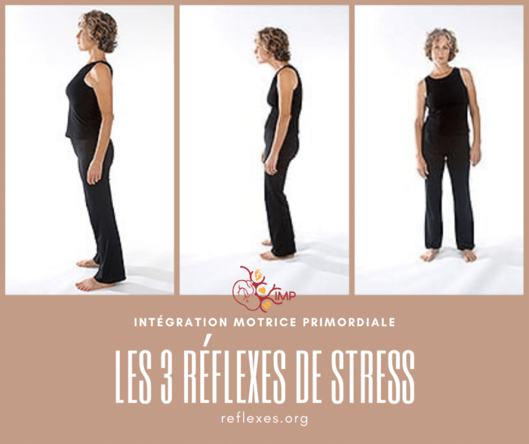 Les 3 réflexes de stress - IMP
