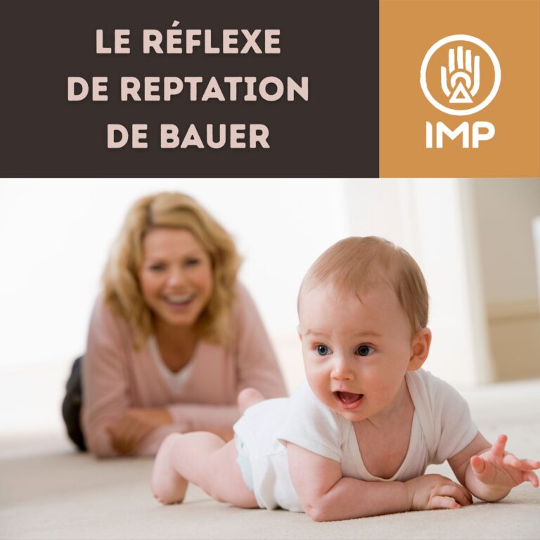 Reptation de Bauer2