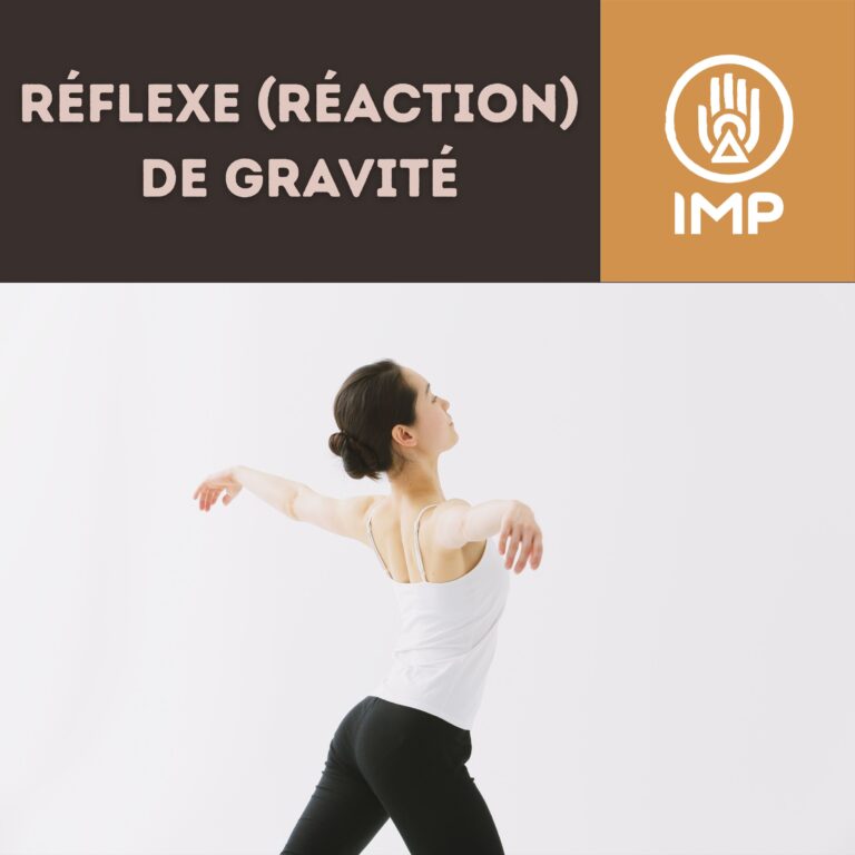 Gravité article