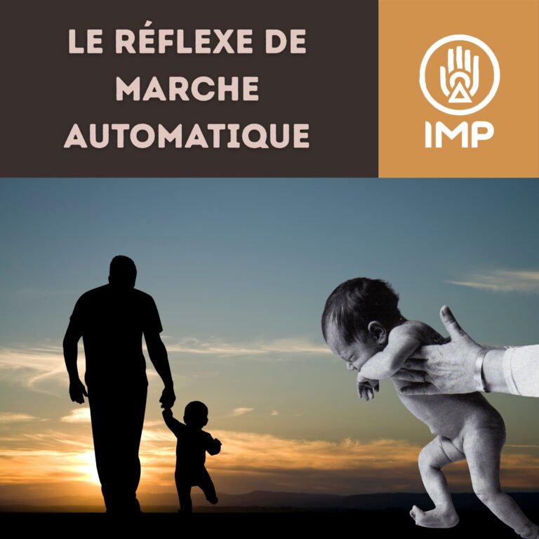 Marche auto article