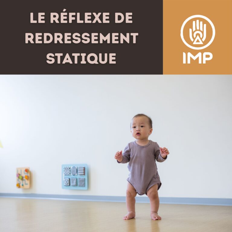 Redressement statique article