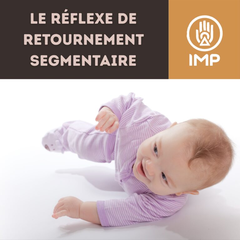 Retournement segmentaire article