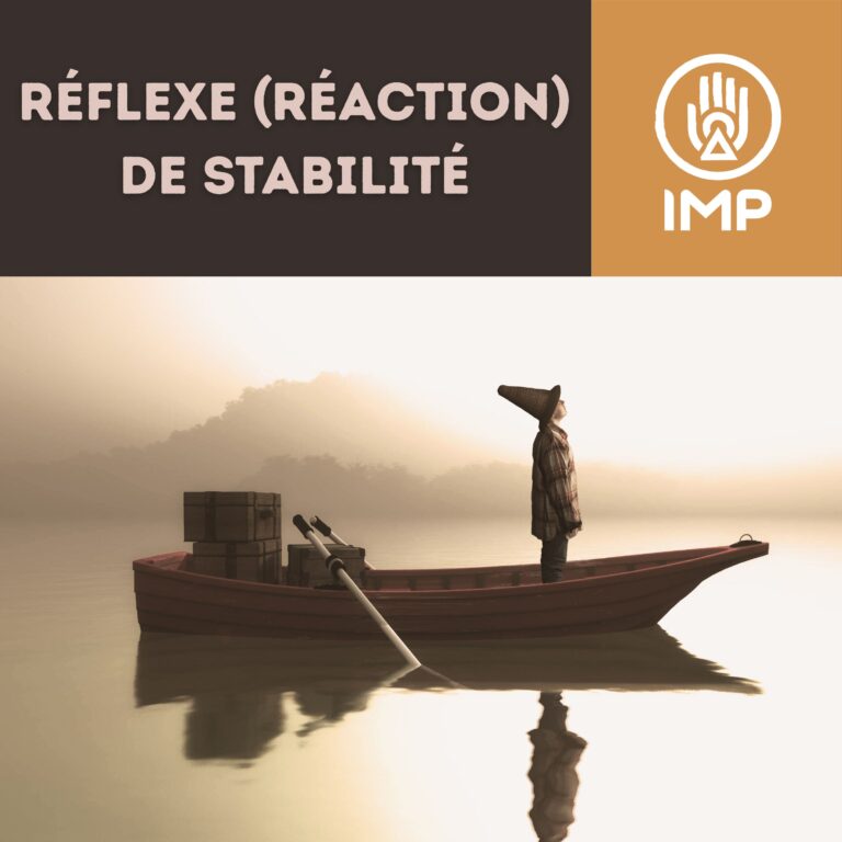 Stabilité article